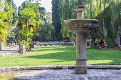 paradosso-13