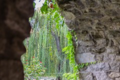 paradosso-40