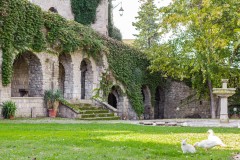 paradosso-45