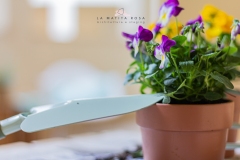 Terni - Verde acqua...speranza