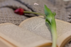 Terni - Verde acqua...speranza